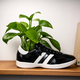 Maceta en forma de zapatilla Walking Plant
